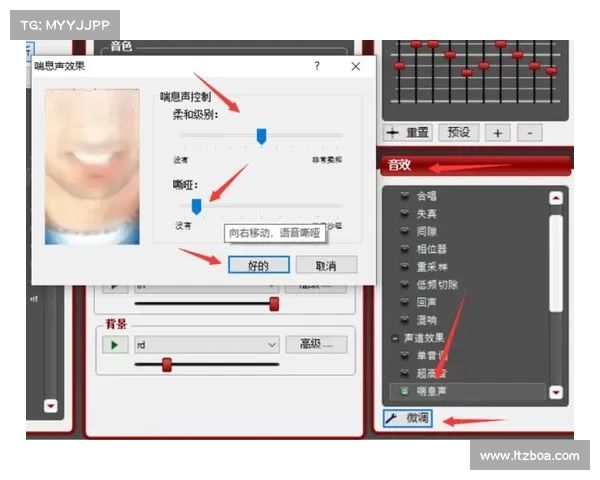 使用MorphVox Pro的完整指南和技巧分享 使用MorphVox Pro的完整指南和技巧分享
