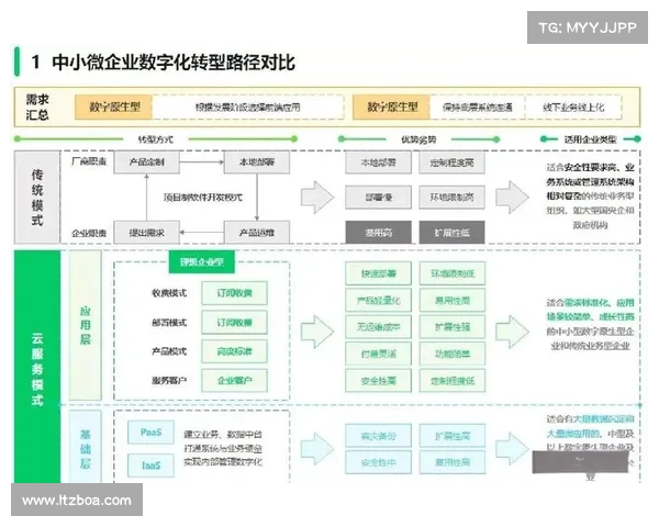 数字化转型中的五大青云辅助优势解析及其关键作用 数字化转型中的五大青云辅助优势解析及其关键作用